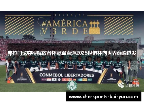 弗拉门戈夺得解放者杯冠军直通2025世俱杯向世界巅峰进发